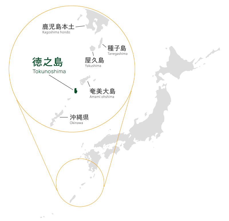 徳之島マップ